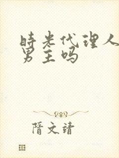 时光代理人是双男主吗