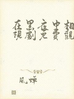 在黑夜中相拥电视剧免费观看