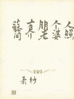 苏有朋个人资料简介老婆照片