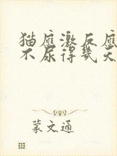 猫应激反应不拉不尿得几天封面