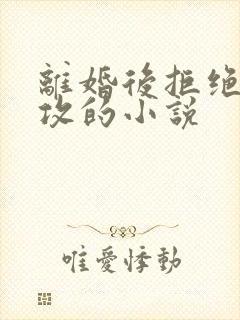 离婚后拒绝当渣攻的小说