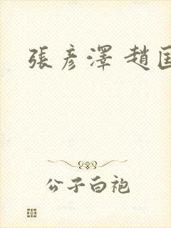 张彦泽 赵匡胤封面