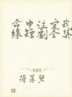 命中注定我遇良缘短剧全集免费观看