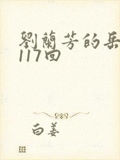 刘兰芳的岳飞传117回封面