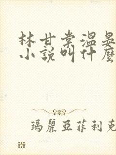 林甘棠温晏清的小说叫什么名字