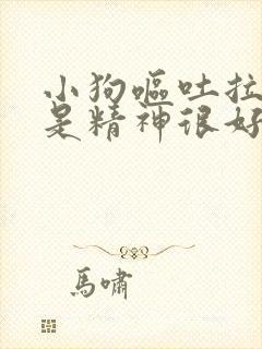 小狗呕吐拉稀但是精神很好