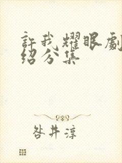 许我耀眼剧情介绍分集