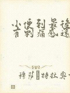 小便到最后尿痛有刺痛感还有血块吃什么药