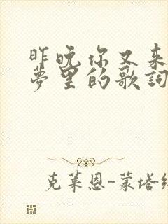 昨晚你又来到我梦里的歌词