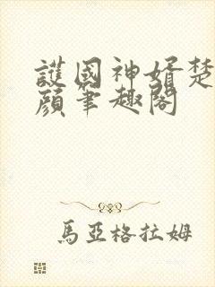 护国神婿楚尘宋颜笔趣阁封面