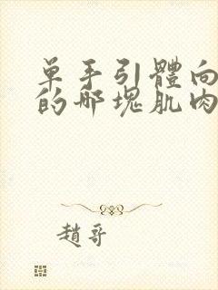 单手引体向上练的哪块肌肉