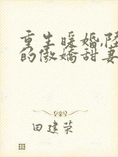 重生暖婚,陆少的傲娇甜妻