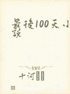 最后100天小说封面