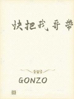 快把我哥带走之