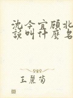 沈今宜顾北玄小说叫什么名字