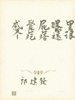 感觉屁眼里面有个疙瘩还很疼