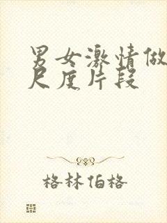 男女激情做爰大尺度片段封面