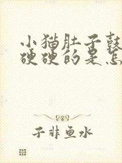 小猫肚子鼓鼓的硬硬的是怎么回事