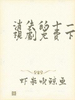 消失的十一层电视剧免费下载观看