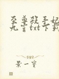 至尊杀手妃凤破九霄txt下载封面