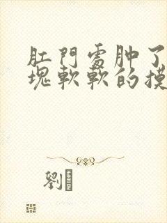 肛门处肿了一小块软软的摸着疼