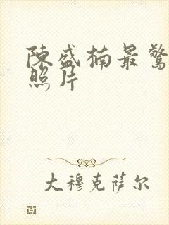 陈盛楠最惊艳的照片