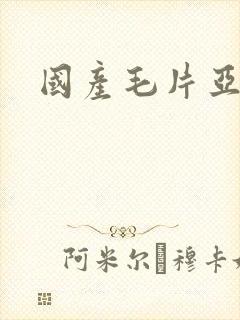 国产毛片亚洲