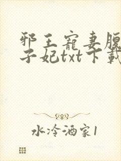 邪王宠妻腹黑世子妃txt下载