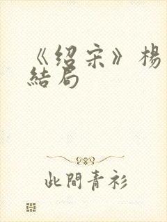 《绍宋》杨沂中结局封面