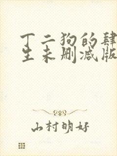 丁二狗的肆意人生未删减版