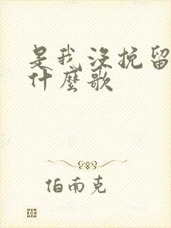 是我没挽留吗是什么歌