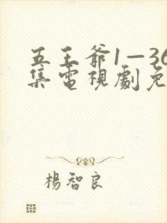 五王爷1—36集电视剧免费观看