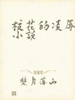 校花的凌辱日记小说