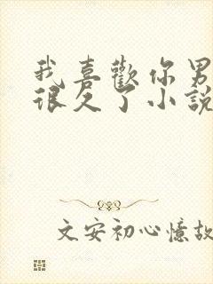 我喜欢你男朋友很久了小说阅读封面