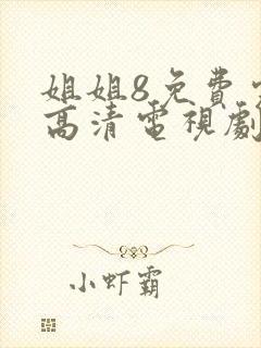 姐姐8免费完整高清电视剧看封面