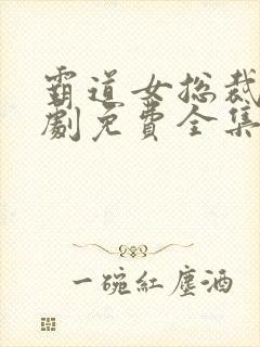 霸道女总裁电视剧免费全集