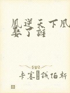 凤逆天下凰战野娶了谁