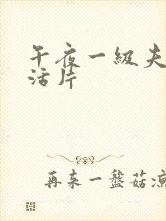 午夜一级夫妻生活片