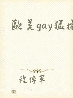欧美gay猛操