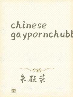 chinesegaypornchubbybearsex