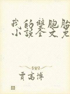 我的双胞胎夫君小说全文免费阅读