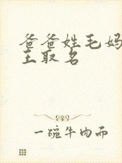 爸爸姓毛妈妈姓王取名