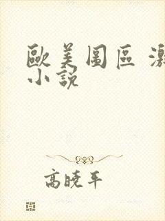 欧美图区 激情小说封面