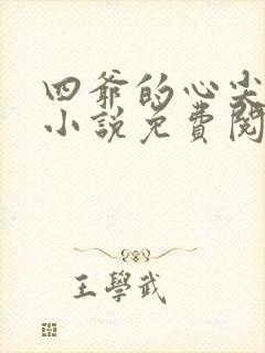 四爷的心尖宠妃小说免费阅读全文无删减封面