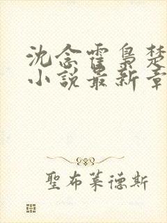 沈念霍枭楚莹莹小说最新章节更新免费阅读