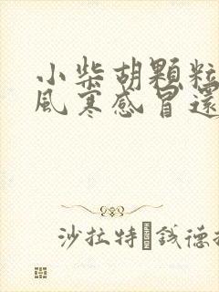 小柴胡颗粒是治风寒感冒还是风热感冒?