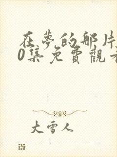 在梦的那片海40集免费观看