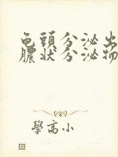 龟头分泌出流黄脓状分泌物怎么办