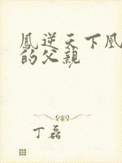 凤逆天下凰北月的父亲