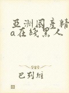 亚洲国产精品va在线黑人封面